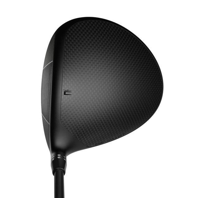 Cobra DS-ADAPT Max K Driver