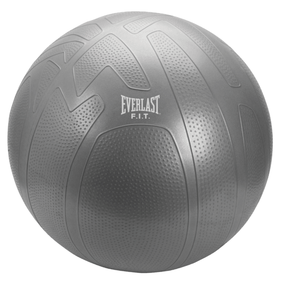  Everlast 75cm Pro Grip Burst Resistant Fitness Ball Pacific Golf Warehouse Everlast everlast, Fitness Balls, stretching